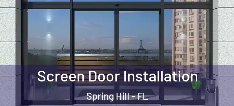 Screen Door Installation Spring Hill - FL