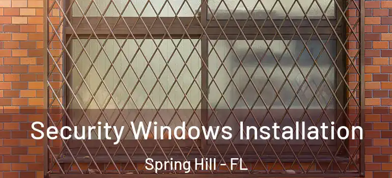 Security Windows Installation Spring Hill - FL