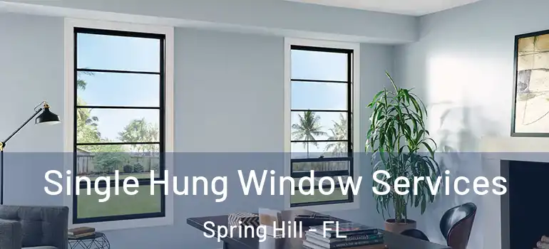 Single Hung Window Services Spring Hill - FL