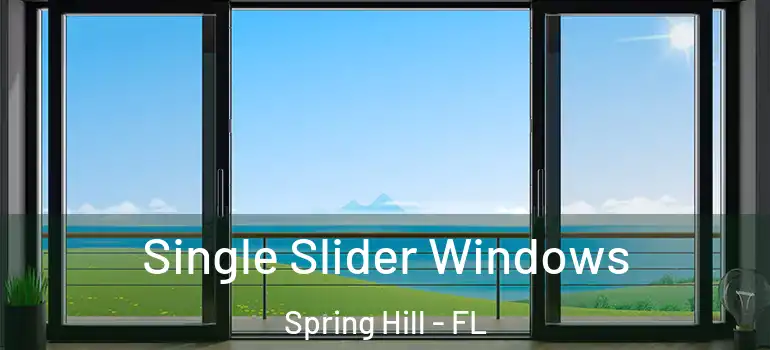 Single Slider Windows Spring Hill - FL