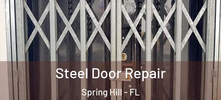 Steel Door Repair Spring Hill - FL