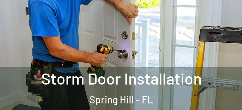 Storm Door Installation Spring Hill - FL