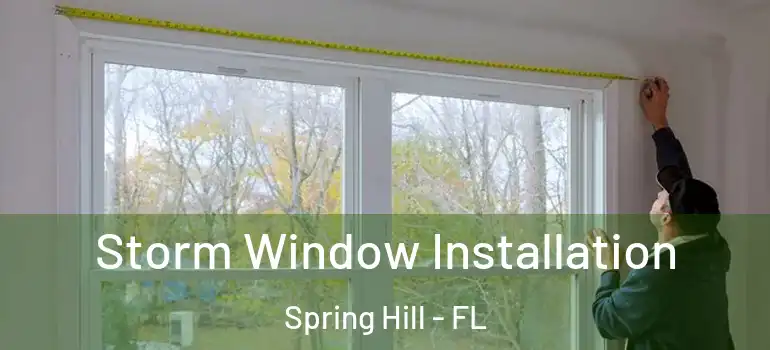 Storm Window Installation Spring Hill - FL