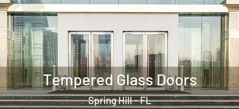 Tempered Glass Doors Spring Hill - FL