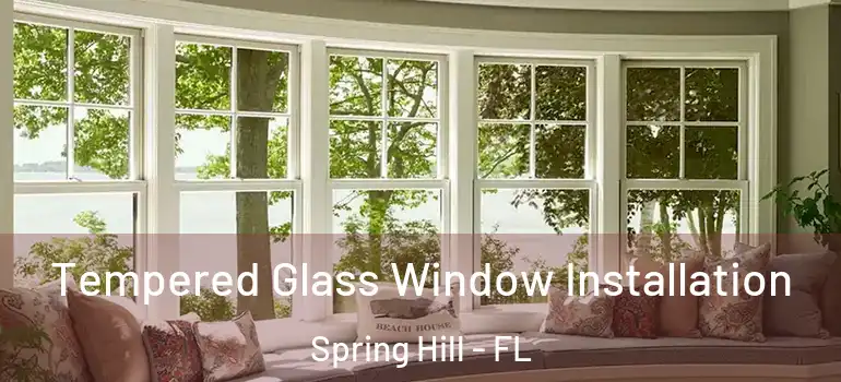 Tempered Glass Window Installation Spring Hill - FL