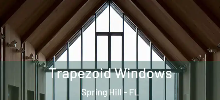 Trapezoid Windows Spring Hill - FL