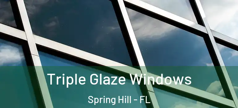 Triple Glaze Windows Spring Hill - FL