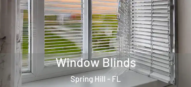 Window Blinds Spring Hill - FL