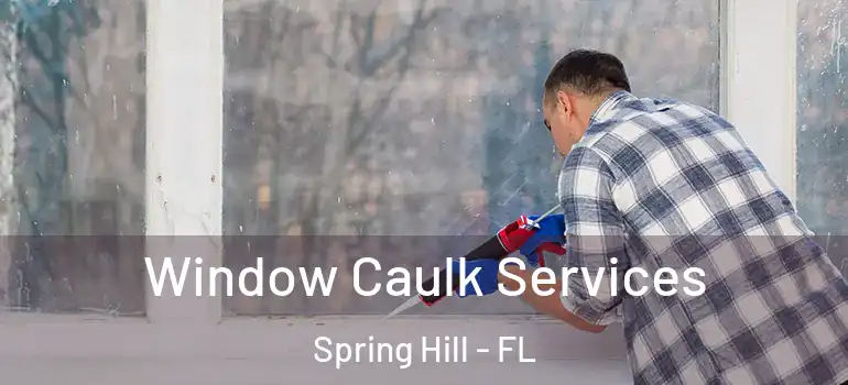 Window Caulk Services Spring Hill - FL