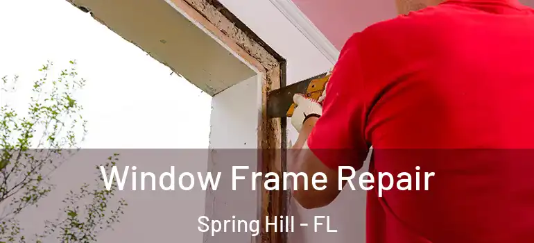 Window Frame Repair Spring Hill - FL