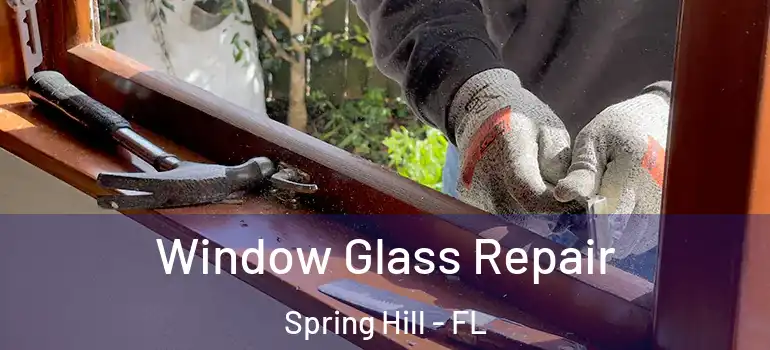 Window Glass Repair Spring Hill - FL