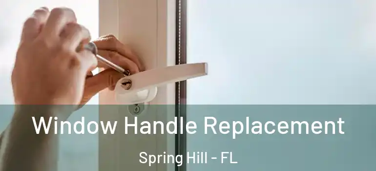 Window Handle Replacement Spring Hill - FL