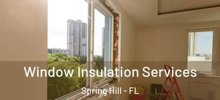 Window Insulation Services Spring Hill - FL