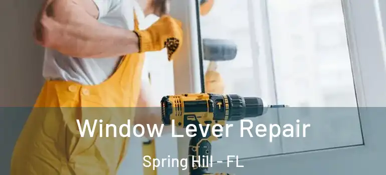 Window Lever Repair Spring Hill - FL