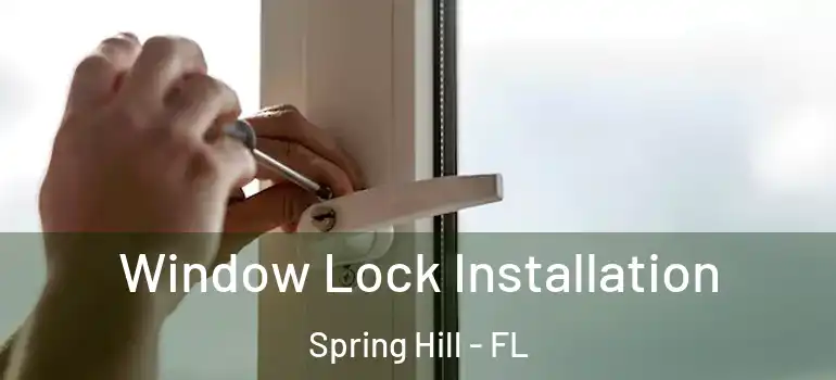 Window Lock Installation Spring Hill - FL