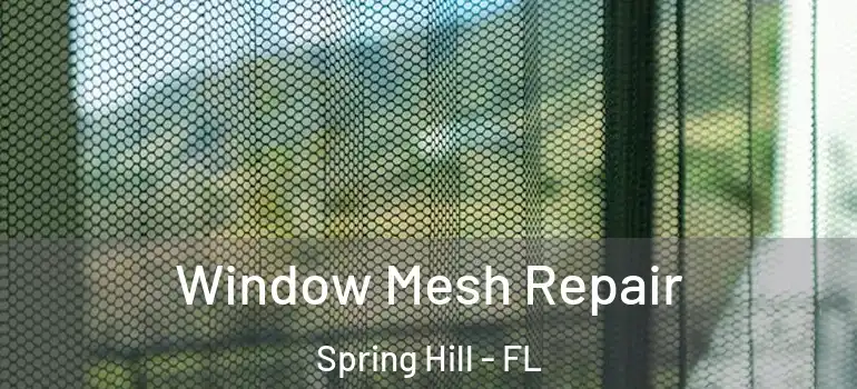 Window Mesh Repair Spring Hill - FL