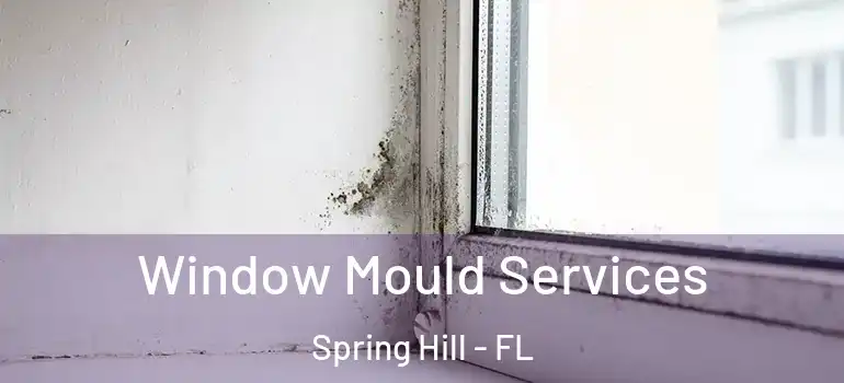 Window Mould Services Spring Hill - FL