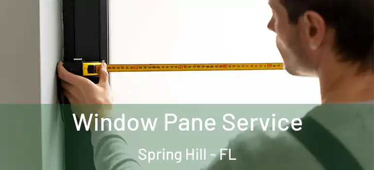 Window Pane Service Spring Hill - FL