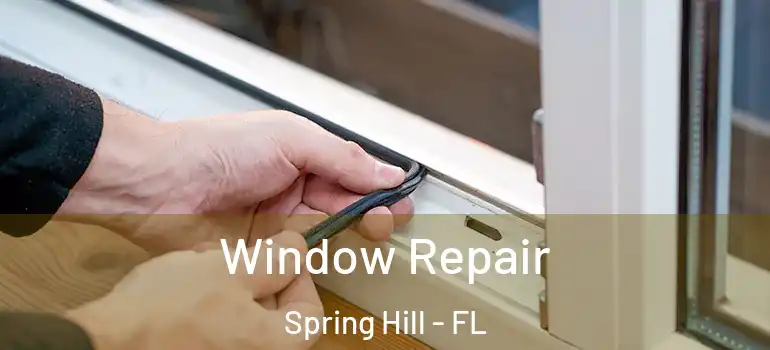 Window Repair Spring Hill - FL