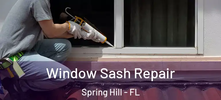 Window Sash Repair Spring Hill - FL