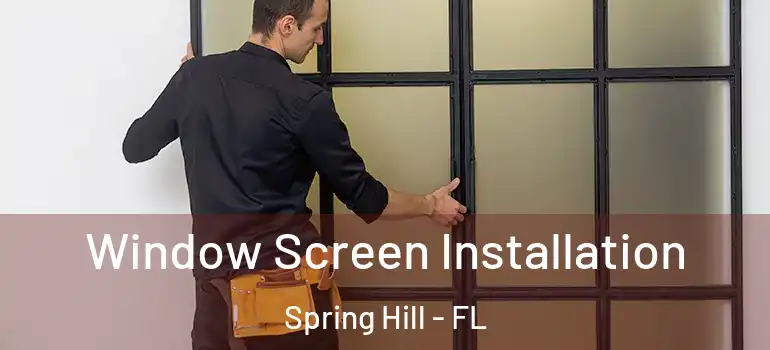 Window Screen Installation Spring Hill - FL