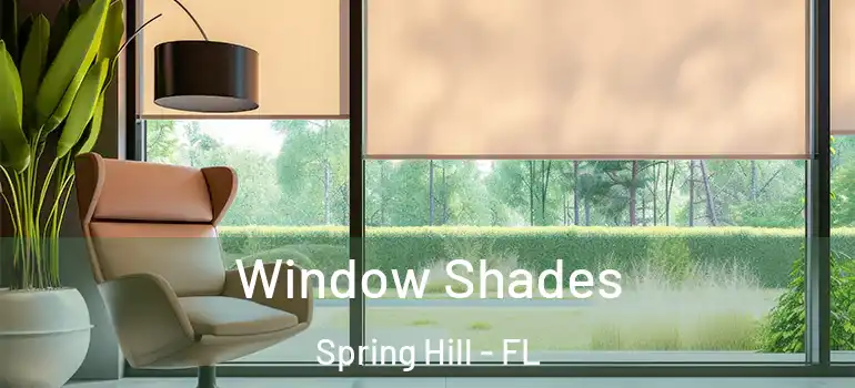  Window Shades Spring Hill - FL