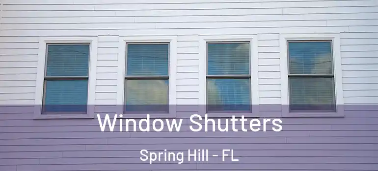 Window Shutters Spring Hill - FL