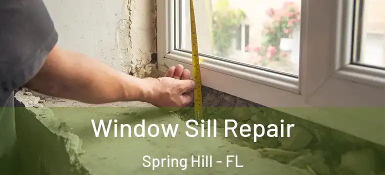 Window Sill Repair Spring Hill - FL