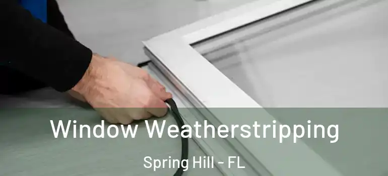 Window Weatherstripping Spring Hill - FL