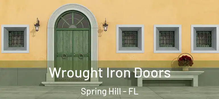 Wrought Iron Doors Spring Hill - FL